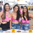 Festa do Boi Malandro